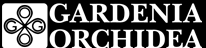 Gardenia Orchidea